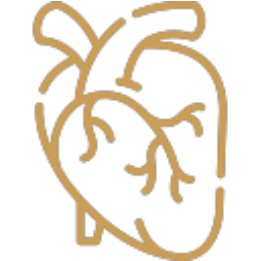 ícone